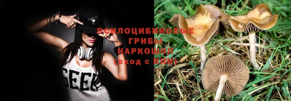 марки nbome Новозыбков