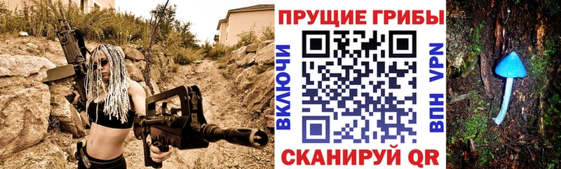 Галлюциногенные грибы Psilocybe  Алейск 